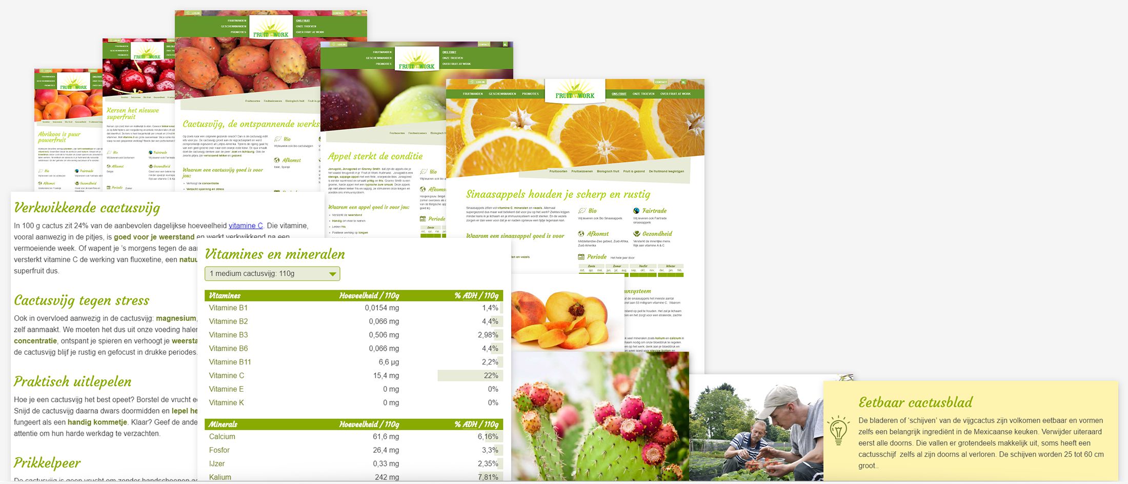 Fruit At Work - fruit content plan